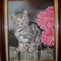 chat gris et blanc huile sur toile 5 F 27 x 35 (à vendre)