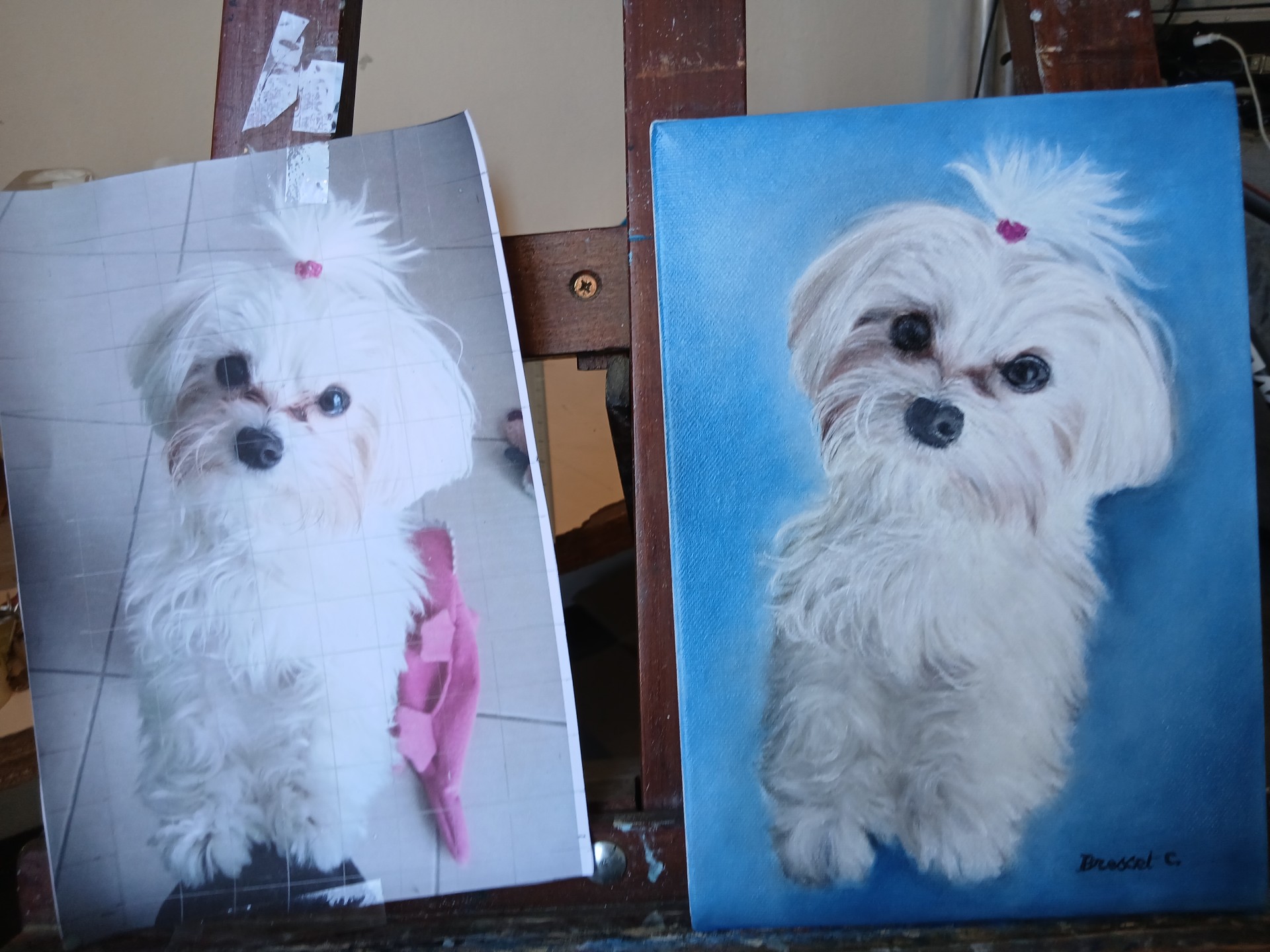 petit chien avec son modèle